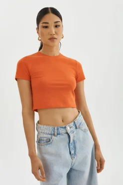 Femme LAMARQUE INGA | T-shirt Court
