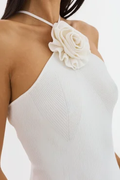 Femme LAMARQUE SAVINA | Robe Licou